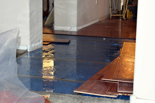 Professional Basement Flood Cleanup technician working in Deford, MI